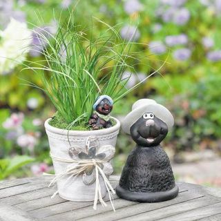 Terrakotta-Topf im Landhausstil