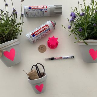 Blumentöpfe mit Neon-Akzenten