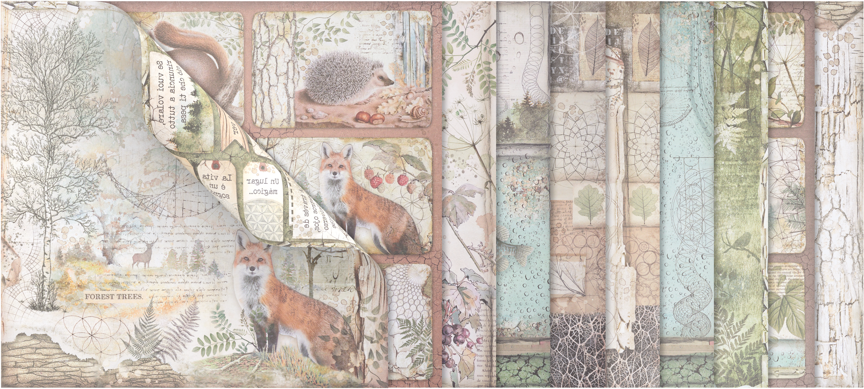 Scrapbook Block Forest Vbs Hobby Bastelshop