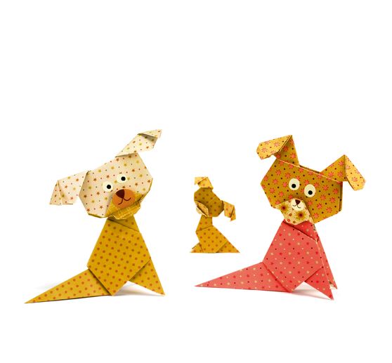 Buch Origami Falten Kinderleicht