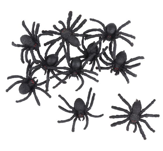 Spinne Malen