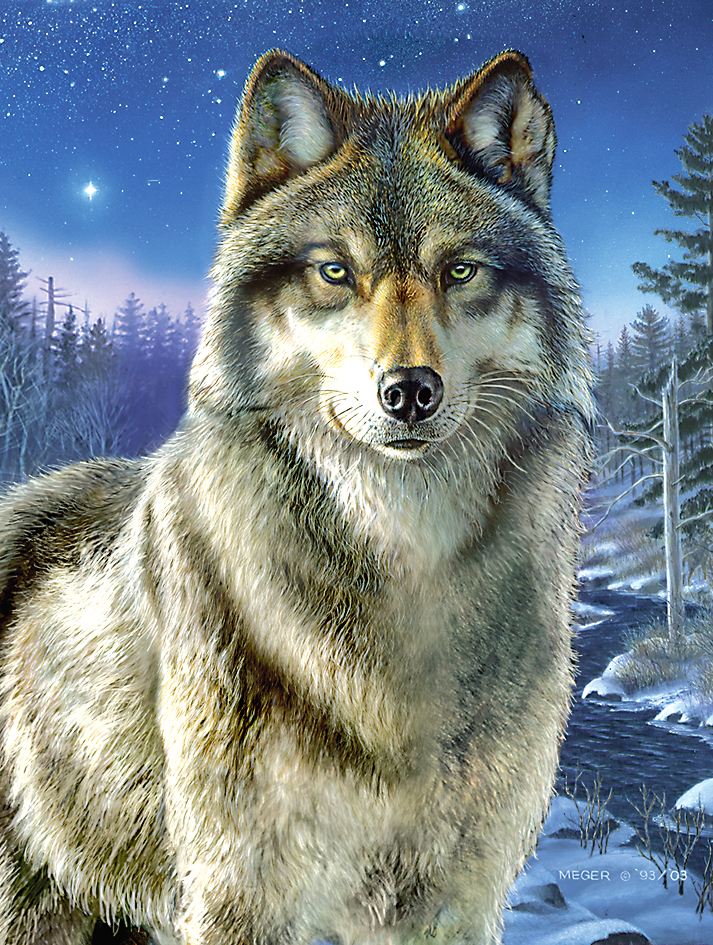Malen nach Zahlen "Wolf", 23 x 30 cm | VBS Hobby Bastelshop