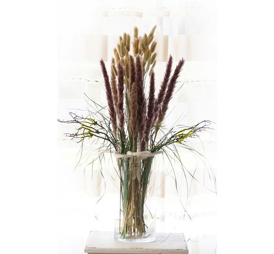 Herbe de la pampa
