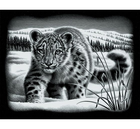 Scratch painting "Snow Leopard"