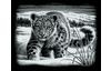 Scratch painting "Snow Leopard"