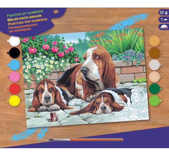 Malen nach Zahlen "Bassethunde"