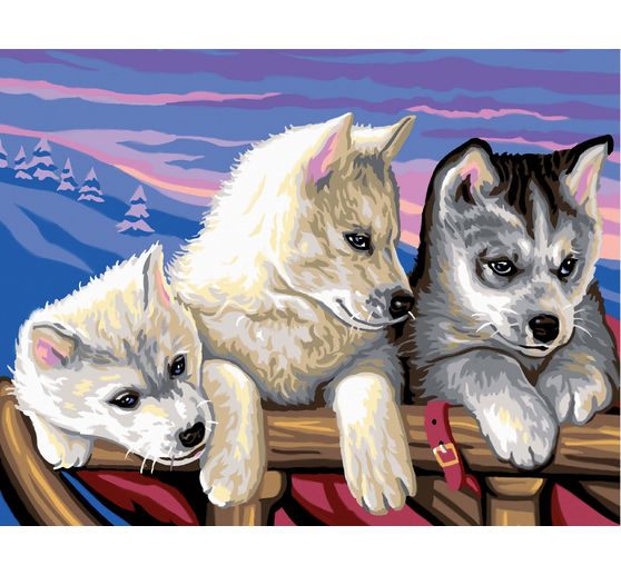 Painting by numbers "Huskies"