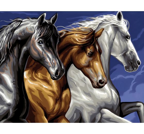 Peinture au numéro « Chevaux sauvages » - VBS Hobby