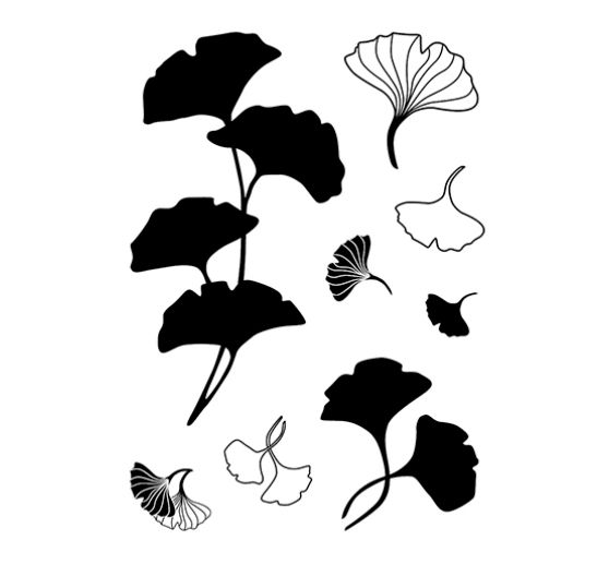 Clear Stamps "Ginkgo"