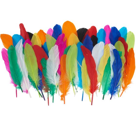 Assortiment de plumes d'indien