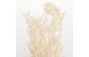 Bleached wild oats, approx. 25 g, L approx. 70 cm