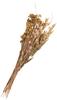 Dried flowers set "Lona"