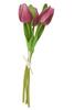 VBS Tulipe "Tammie