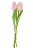VBS Tulipe "Tammie
