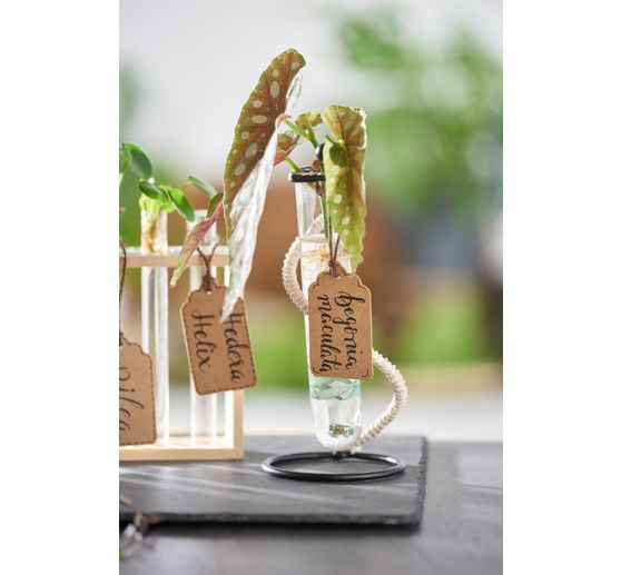 VBS Reagenzglashalter "Vase"