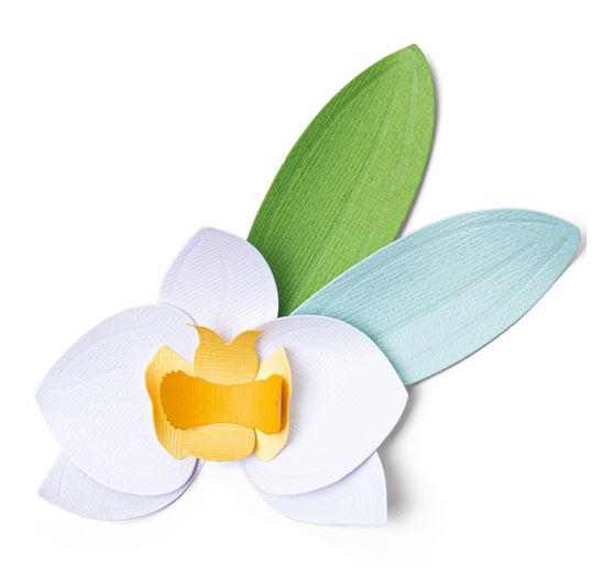 Gabarit d’estampe Sizzix Thinlits « Orchid »