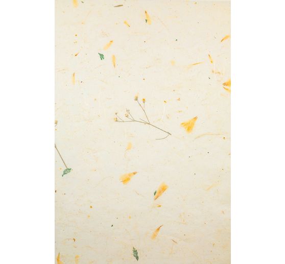 Papiers naturels « Daisy » 