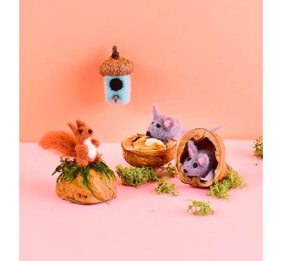 Livre « Filz-Minis mit Naturmaterial (kreativ.kompakt) » 