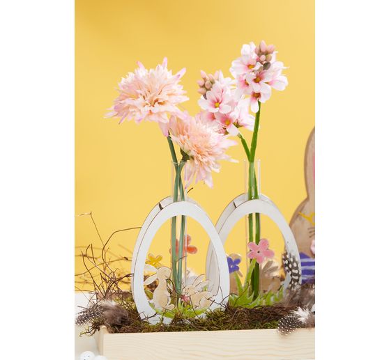 Tige de scabiosa