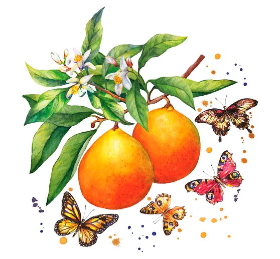 Serviette « Papillons & oranges »