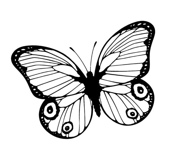 Silikonstempel "Schmetterling"