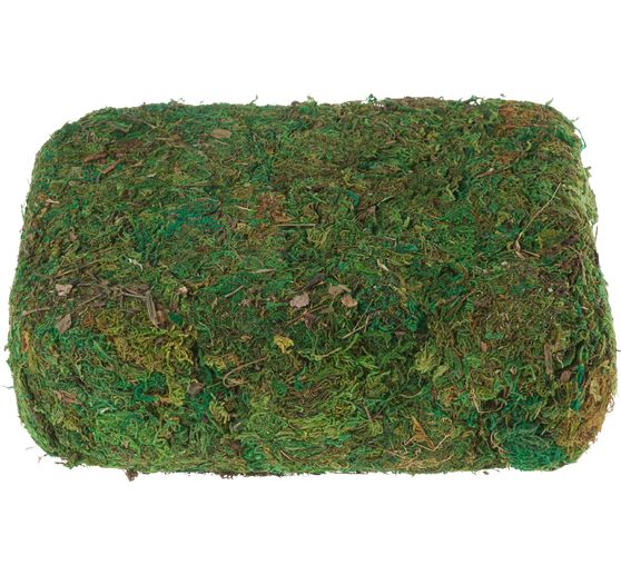 VBS Moss, 750 g