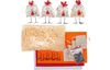 VBS Handicraft set "Cheeky chickens"