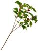 Branche de houx avec baies, 40 cm