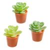 Miniatur Blumentopf, 2,3 cm
