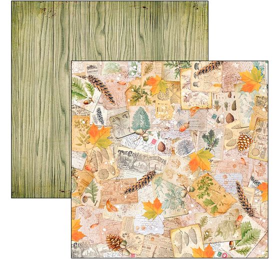 Scrapbook-Papier "Into the Wild"