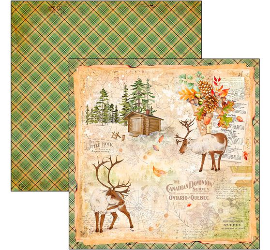 Scrapbook-Papier "Into the Wild"