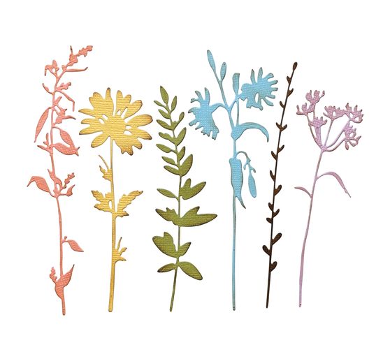 Gabarit d'estampe Sizzix Thinlits « Wildflowers by Tim Holtz »