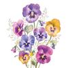 Napkin "Garden pansies"