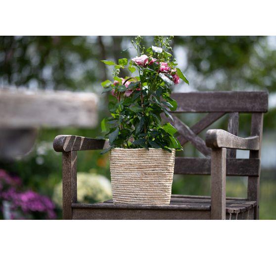 Pot à plantes en jonc de mer