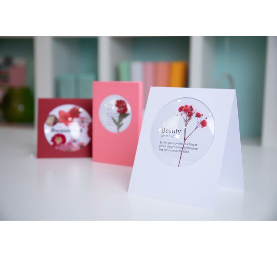 Shaker Domes Sizzix « Rond »