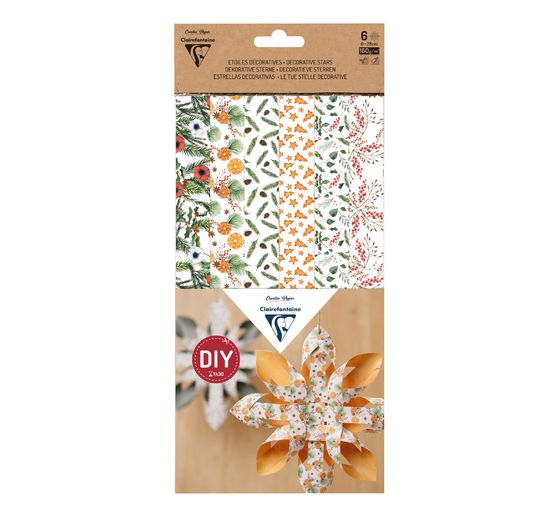 Assortiment de bandes de papier pour 6 étoiles décoratives