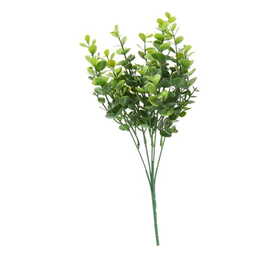 Pique d’eucalyptus « Mia »