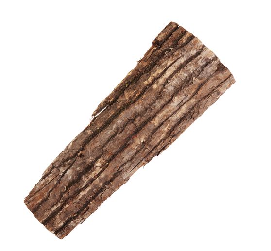 Planche de chêne non délignée déco