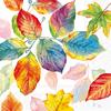 Napkins "Colourful Autumn"
