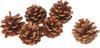 Pommes de pin, naturelles
