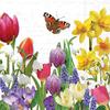 Serviette "Spring Feeling"