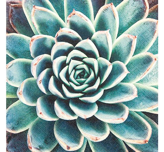 Napkin "Succulent dream"