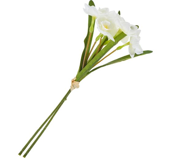 Daffodil bunch