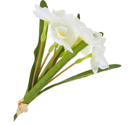 Daffodil bunch