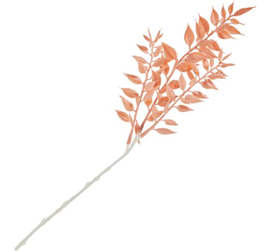 Ruscus pick