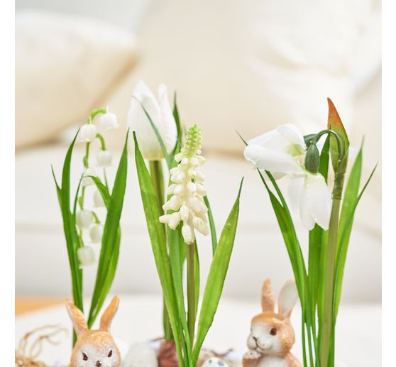 Frühjahrsblumen Mix mit Zwiebel