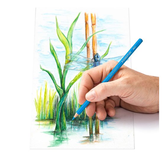 Crayons de couleur aquarellables Staedtler, set de 12