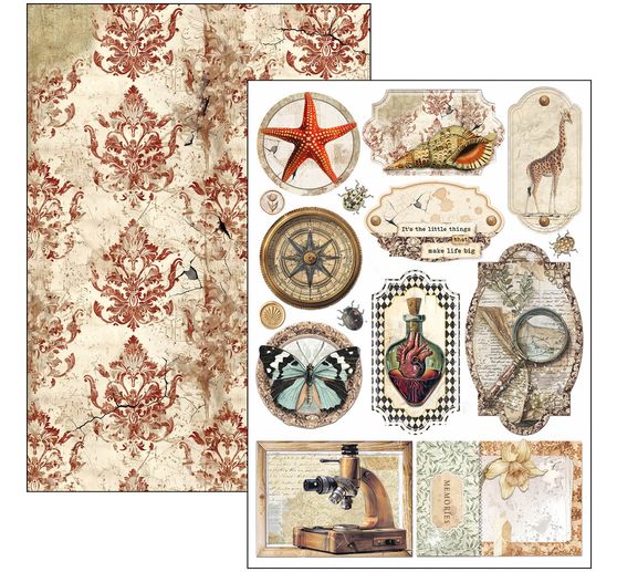 Assortiments de papiers "Cabinet of Curiosities"