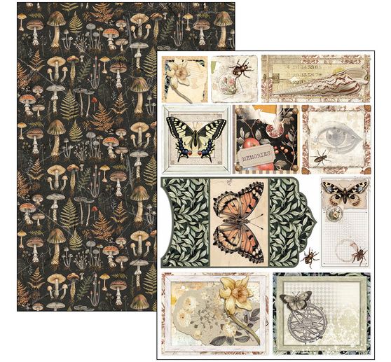 Assortiments de papiers "Cabinet of Curiosities"