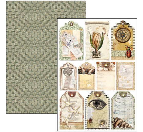 Assortiments de papiers "Cabinet of Curiosities"